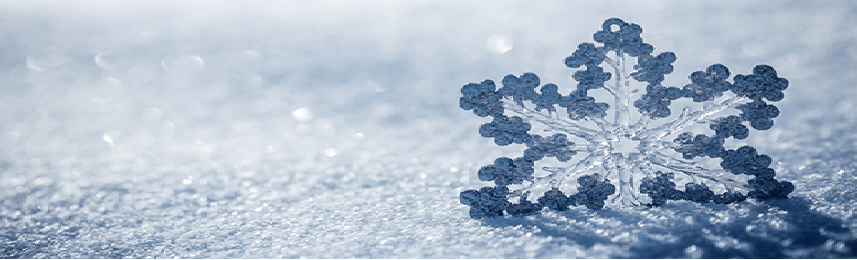 Снега навалило.