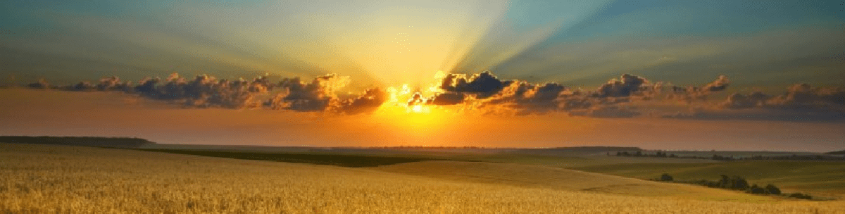 День Варения.